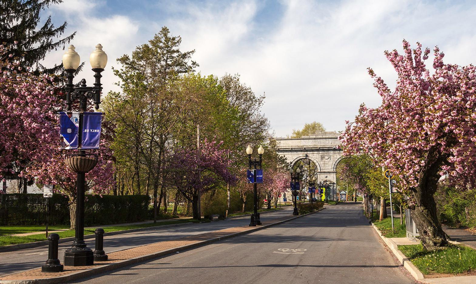 Street view of the University of Bridgeport